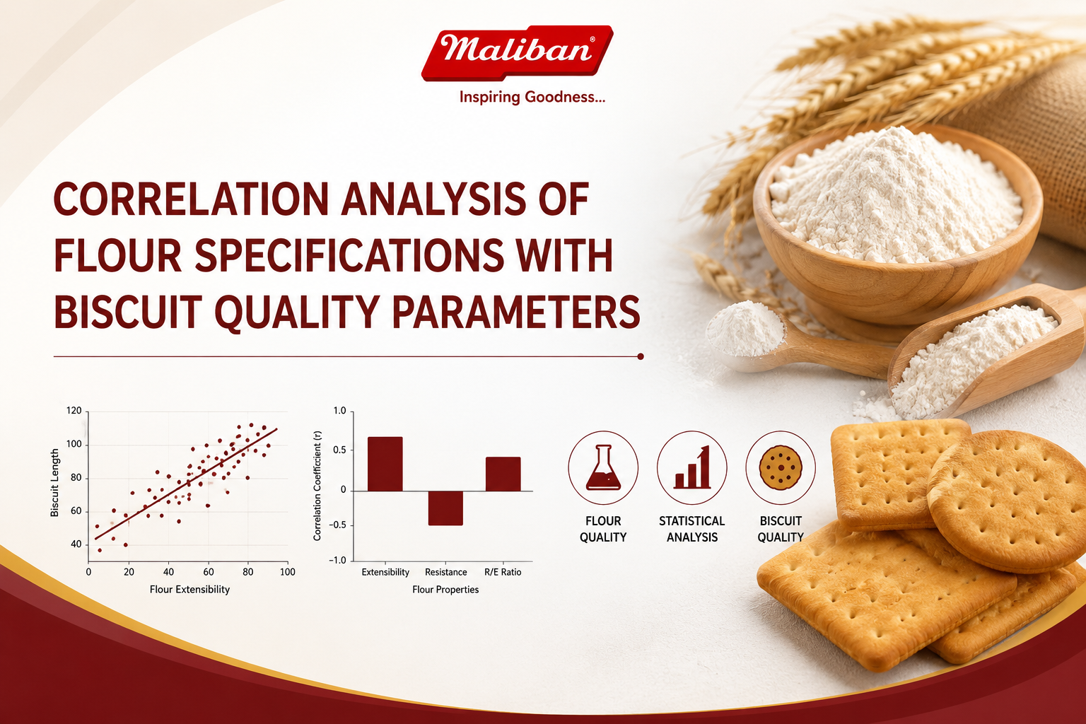 Correlation Analysis of Flour Specifications with Biscuit Quality Parameters